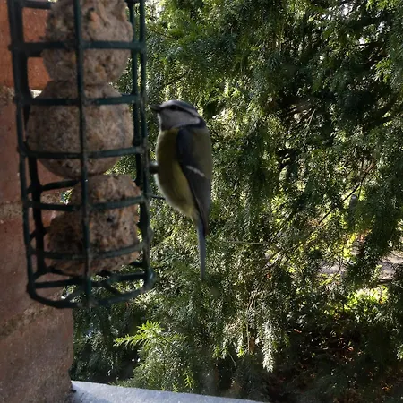 Charmante Maison Avec Jardin Clos Pres De La Riviere Louet - Fr-1-622-37 *