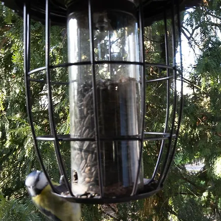 Charmante Maison Avec Jardin Clos Pres De La Riviere Louet - Fr-1-622-37 Denée