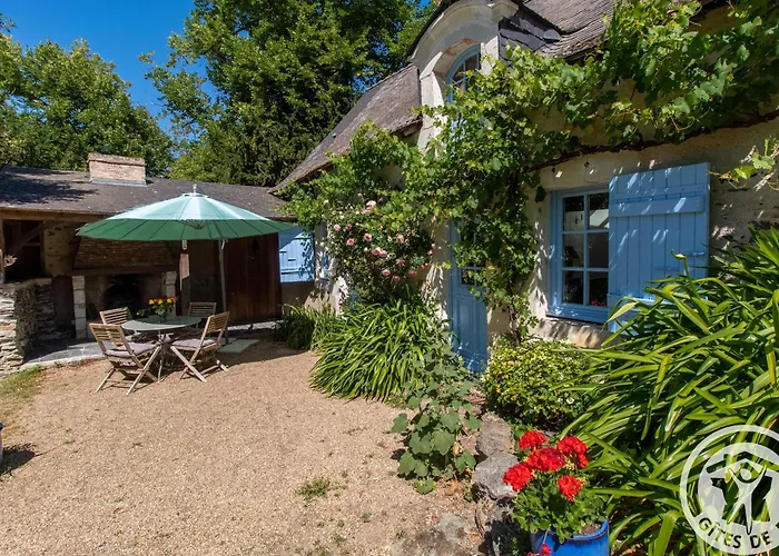 Vakantiehuis Charmante Maison Avec Jardin Clos Pres De La Riviere Louet - Fr-1-622-37