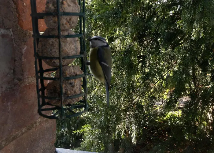 Charmante Maison Avec Jardin Clos Pres De La Riviere Louet - Fr-1-622-37 *