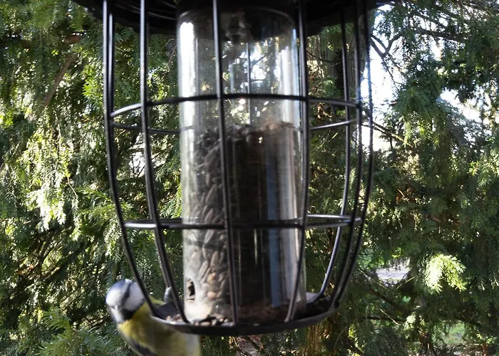 Charmante Maison Avec Jardin Clos Pres De La Riviere Louet - Fr-1-622-37 Denée