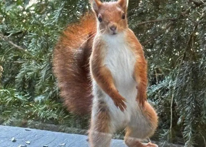 Vakantiehuis Charmante Maison Avec Jardin Clos Pres De La Riviere Louet - Fr-1-622-37 Denée